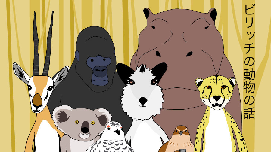 ビリッチの動物の話
