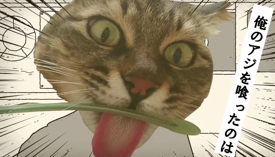 「押忍!私立バリバリペット学園」第1話「学園ニャ紛争ワン」