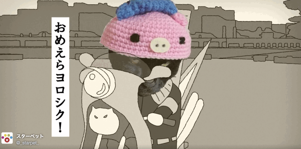 スターペット10