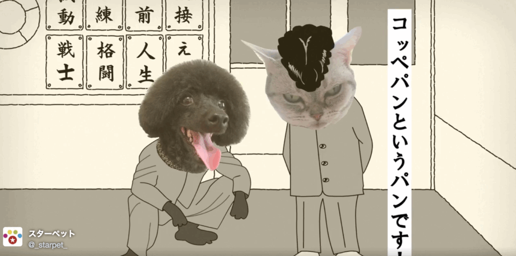 バリバリペット学園11