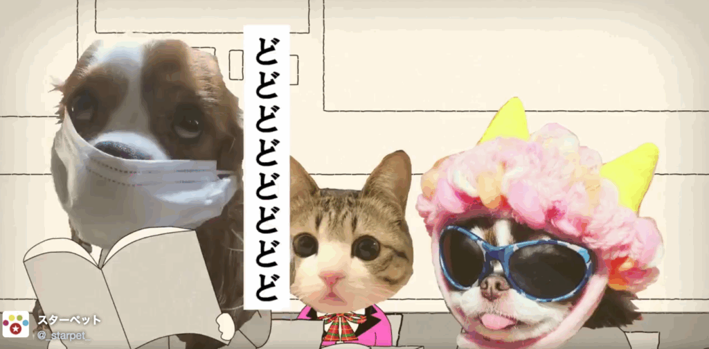 バリバリペット学園12